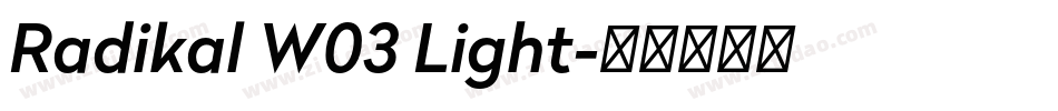 Radikal W03 Light字体转换